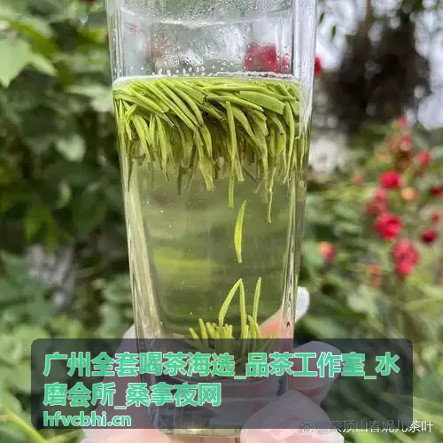 水磨会所SPA养生服务体验